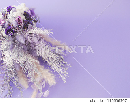 紫の花束 紫の花束 116636567