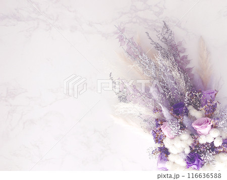 紫の花束 紫の花束 116636588