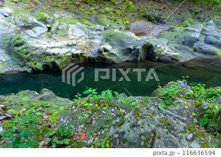 天岩戸神社 西本宮参道風景 “神話”の聖地& パワースポットを巡る旅に映える天岩戸神社(高千穂町) 天岩戸神社 西本宮参道風景 “神話”の聖地& パワースポットを巡る旅に映える天岩戸神社(高千穂町) 116636594