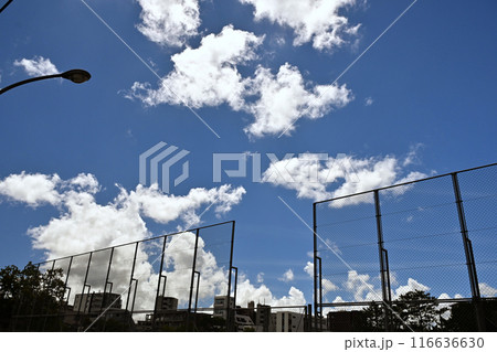 夏の青空と白い雲 116636630