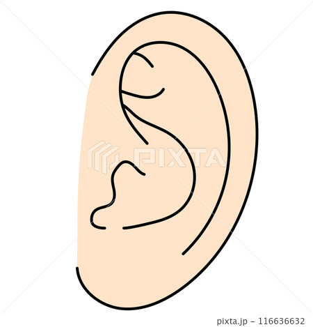 シンプルな左耳のカラーイラスト 116636632
