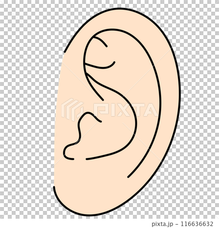 シンプルな左耳のカラーイラスト 116636632