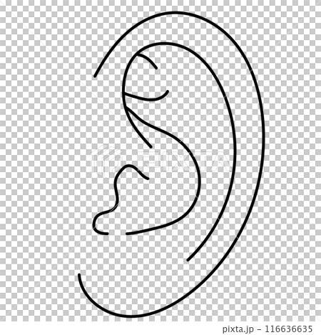 Simple black and white illustration of the left ear Simple black and white illustration of the left ear 116636635