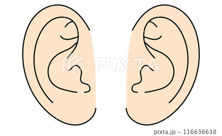 シンプルな左右の耳のカラーイラスト 116636638