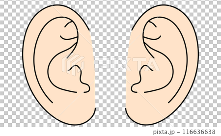 Simple left and right ear color illustration Simple left and right ear color illustration 116636638
