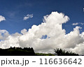 夏の青空と白い雲 116636642