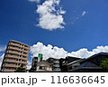 夏の青空と白い雲 116636645
