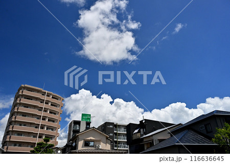 夏の青空と白い雲 夏の青空と白い雲 116636645