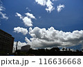 夏の青空と白い雲 116636668