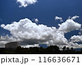 夏の青空と白い雲 116636671