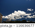 夏の青空と白い雲 116636677