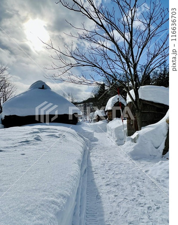 雪の積もった札幌市アイヌ文化交流センター 雪の積もった札幌市アイヌ文化交流センター 116636703
