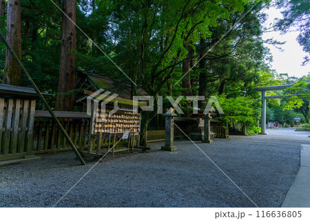 境内風景　天岩戸神社 “神話”の聖地＆ パワースポットを巡る旅に映える天岩戸神社(高千穂町) 116636805