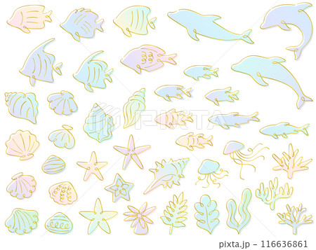 カリグラフィーの金の線画とカラフルなグラデーションの海のイラストセット 116636861
