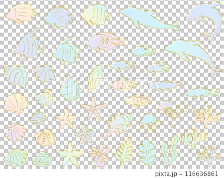 カリグラフィーの金の線画とカラフルなグラデーションの海のイラストセット 116636861