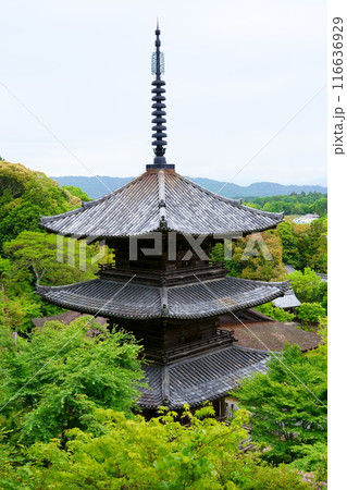 常楽寺の三重塔（国宝）／滋賀県湖南市 116636929