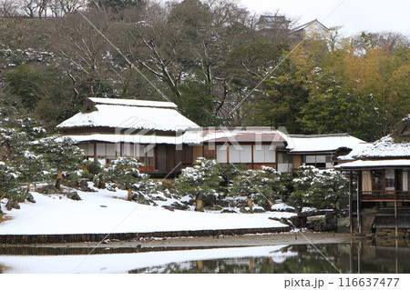 滋賀県彦根市にある「玄宮園の雪景色」 116637477
