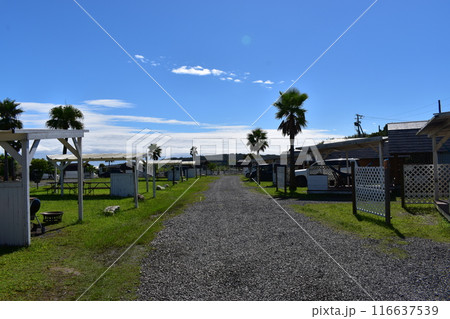 青空が広がるキャンプ場 青空が広がるキャンプ場 116637539