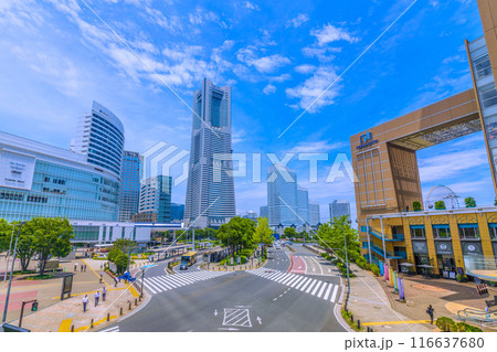日本の横浜都市景観 桜木町駅前から夏空が広がる横浜ランドマークタワーなど、みなとみらいの街を望む 日本の横浜都市景観 桜木町駅前から夏空が広がる横浜ランドマークタワーなど、みなとみらいの街を望む 116637680
