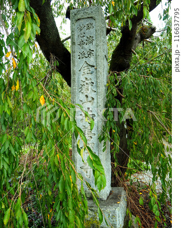 秩父・長瀞七草寺・法善寺 116637795