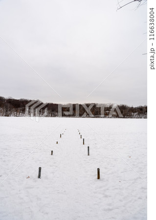 A frozen view of snow and trees at a local Minnesota park in winter. 116638004