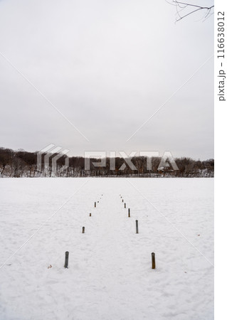 A frozen view of snow and trees at a local Minnesota park in winter. A frozen view of snow and trees at a local Minnesota park in winter. 116638012