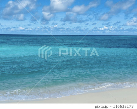 宮古島の青い海 116638175