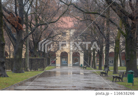 Wooden benches and Trees in the garden of the Munich Residenz on a rainy day with Hofgartenarkaden building in the background. Wooden benches and Trees in the garden of the Munich Residenz on a rainy day with Hofgartenarkaden building in the background. 116638266