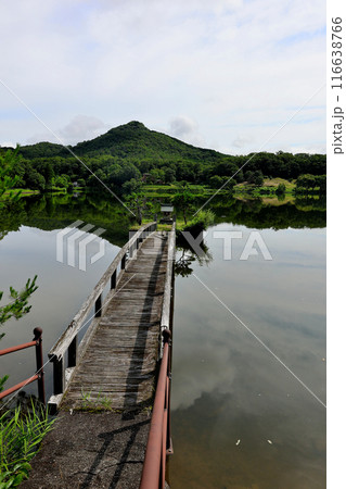 有馬富士と福島大池に浮かぶ祠とそこに至る木橋 116638766