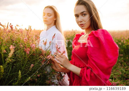 Two Beautiful woman in a field. Nature, fashion, vacation and lifestyle. 116639189