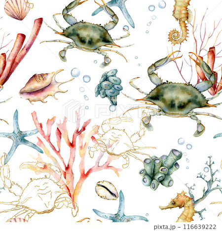 Watercolor underwater seamless pattern of shells, gold crabs and coral. The animals and plants are isolated on a white background. This illustration for use in design, printing or background. 116639222