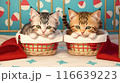 プレゼントボックスに入った2匹の子猫 116639223