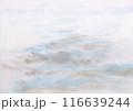 幻想的な水彩画テクスチャ背景 116639244