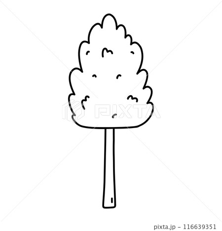 Tree isolated on a white background 116639351