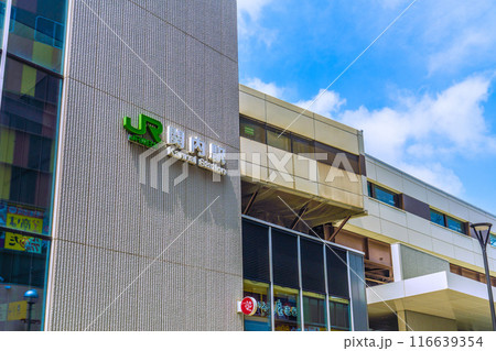 日本の横浜都市景観　関内駅などを望む 116639354