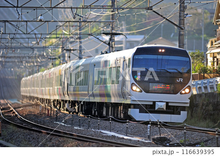 中央本線　四方津ー上野原　JR東日本　E257系　M-203編成（松本）　あずさ　かいじ 116639395