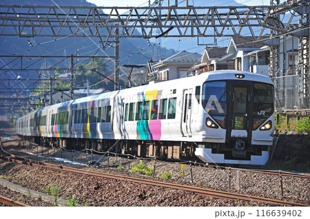 中央本線　四方津ー上野原　JR東日本　E257系　M-113編成（松本）　あずさ　かいじ 116639402