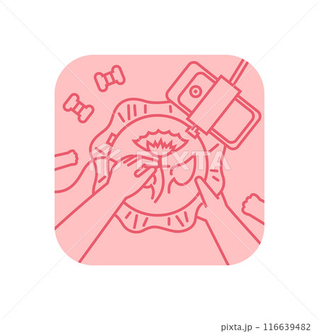 Recording of embroidery process on smartphone Recording of embroidery process on smartphone 116639482
