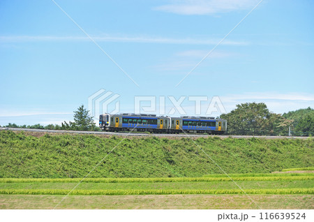 小海線　小淵沢ー甲斐小泉　JR東日本　キハE200-1+キハE200-2（小海） 116639524