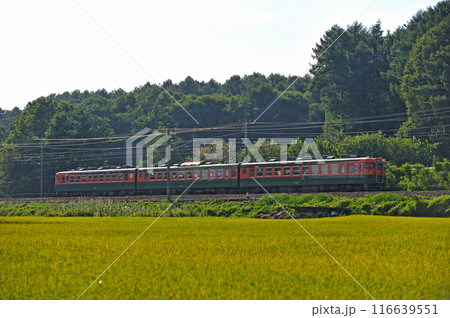 しなの鉄道 平原ー御代田 しなの鉄道 169系 S52編成 しなの鉄道 平原ー御代田 しなの鉄道 169系 S52編成 116639551