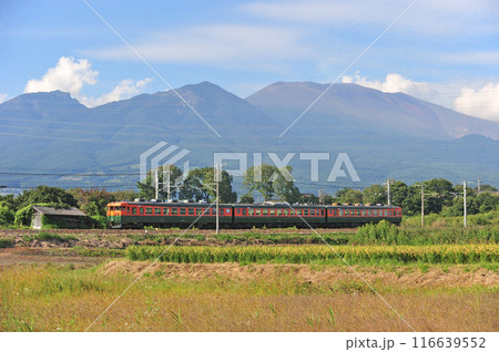 しなの鉄道 御代田ー平原 しなの鉄道 169系 S52編成 しなの鉄道 御代田ー平原 しなの鉄道 169系 S52編成 116639552