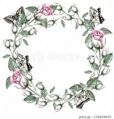 Round frame of rose buds and butterflies in watercolor illustration. Hand drawn watercolor drawing for wedding invitations, congratulations, memorable dates. Composition isolated from background 116639650