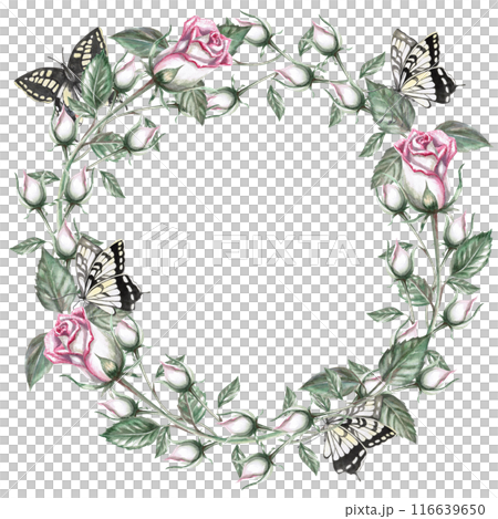 Round frame of rose buds and butterflies in watercolor illustration. Hand drawn watercolor drawing for wedding invitations, congratulations, memorable dates. Composition isolated from background 116639650