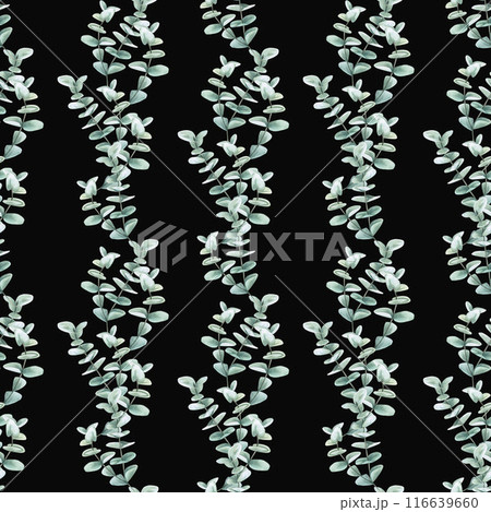 Seamless pattern of dollar eucalyptus branches in watercolor illustration. Hand-drawn pattern for printing on fabrics, wallpaper, packaging Seamless pattern of dollar eucalyptus branches in watercolor illustration. Hand-drawn pattern for printing on fabrics, wallpaper, packaging 116639660