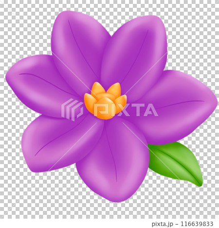 illustration of a flower 116639833