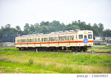関東鉄道 常総線 大宝ー下妻 キハ35-8+キハ35-11 ありがとう キハ350形 関東鉄道 常総線 大宝ー下妻 キハ35-8+キハ35-11 ありがとう キハ350形 116639925