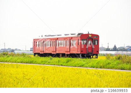 関東鉄道 常総線 三妻ー南石下 キハ101 関東鉄道 常総線 三妻ー南石下 キハ101 116639933