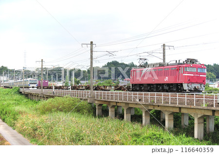 常磐線 高浜ー神立 JR東日本 EF81-81(田端) 常磐線 高浜ー神立 JR東日本 EF81-81(田端) 116640359