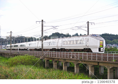 常磐線　高浜ー神立　JR東日本　651系　K104編成（勝田）　スーパーひたち 116640378