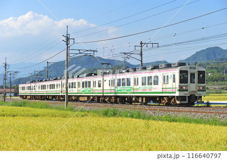 上越線 後閑ー沼田 JR東日本 107系 R10+R8編成(高崎) 上越線 後閑ー沼田 JR東日本 107系 R10+R8編成(高崎) 116640797
